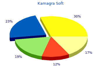 buy kamagra soft 100 mg with mastercard